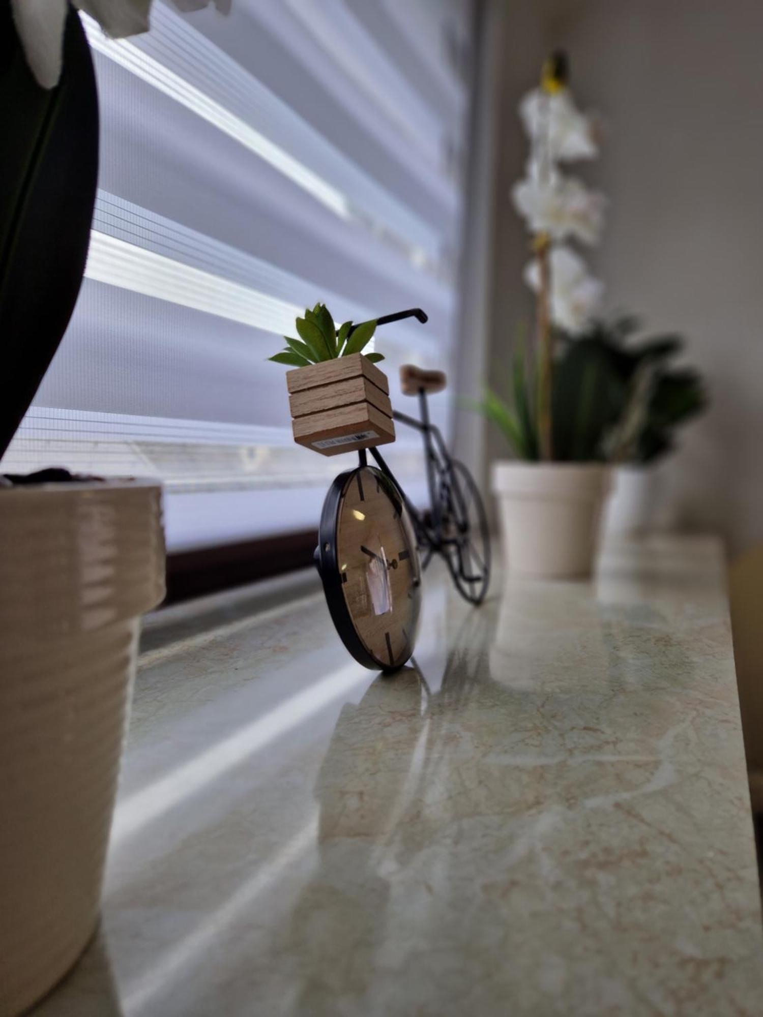 Apartment Lara Sankt Peter am Bichl 外观 照片